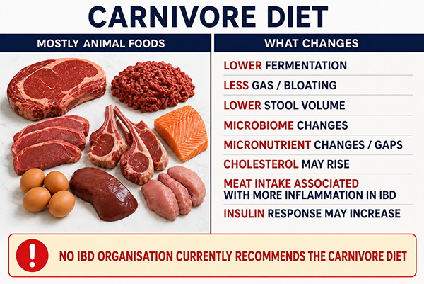 Carnivore diet illustration showing animal foods and possible effects on fermentation, symptoms, the microbiome, nutrition and cholesterol.