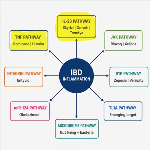 Multiple pathways involved in IBD inflammation including TNF, IL-23, JAK, integrin, S1P, TL1A, miR-124 and microbiome-related pathways