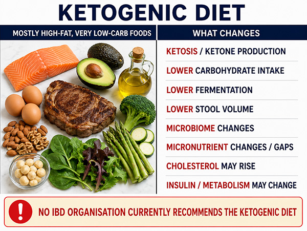 Ketogenic diet illustration showing high-fat, very-low-carbohydrate foods and possible effects on ketosis, fermentation, the microbiome, nutrition and cholesterol.